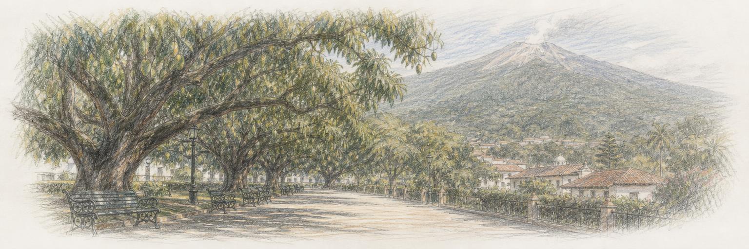 Los viejos mangos del Parque Central de Alajuela dan sombra a las bancas y al camino, con los techos de teja del centro histórico detrás y la ladera del volcán Poás al fondo.