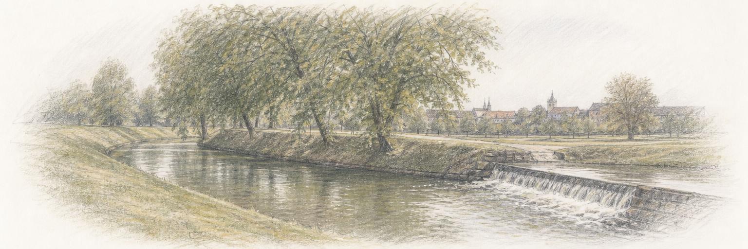 Der Umflutgraben der Oker am alten Wallring: stilles grünes Wasser und Grasböschungen, alte Linden über dem Kanal und rechts ein niedriges Wehr.