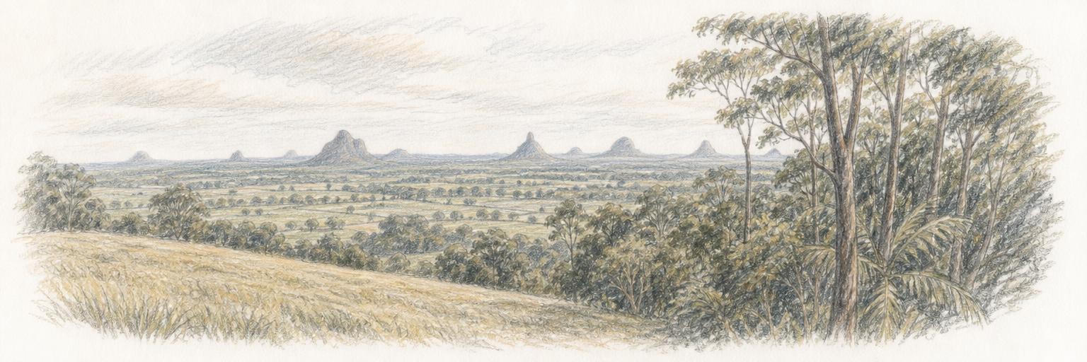 The volcanic peaks of the Glass House Mountains rising across the pasture beyond the rainforest edge near Maleny.