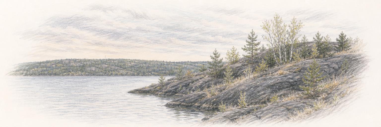Rounded black bedrock along Ramsey Lake, replanted with young pines and grasses from Sudbury's regreening.