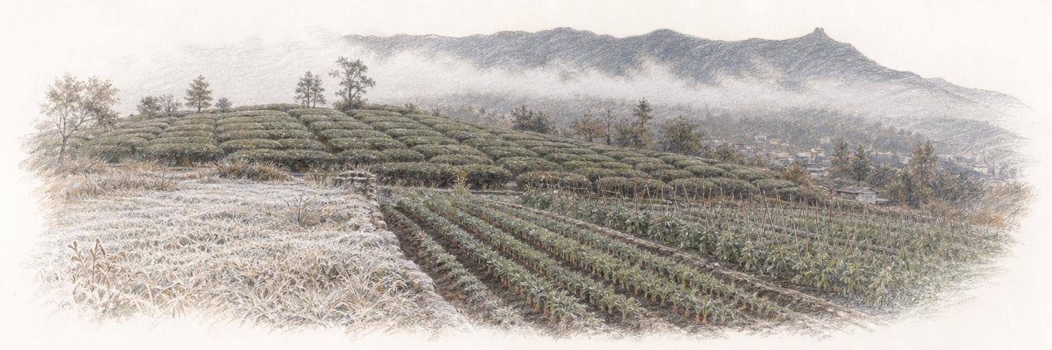 White December frost lies over the terraced carrot and bean fields at the edge of town, with tea bushes on the slope behind and the Doddabetta ridge under mist in the distance.