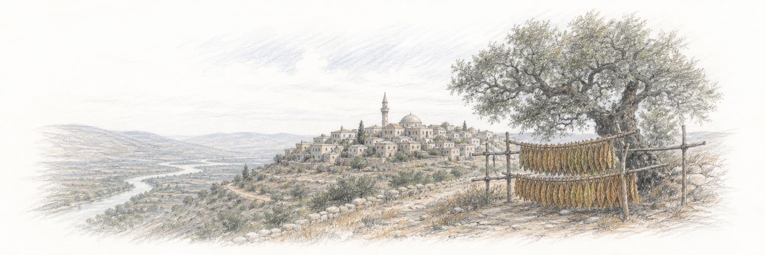 A hilltop South Lebanon village above the Litani valley, with strings of tobacco leaves drying on wooden racks in the foreground.